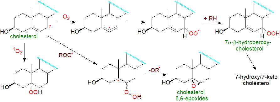 Examples of non-enzymic oxidation of cholesterol