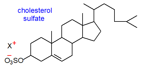 Formula of cholesterol sulfate
