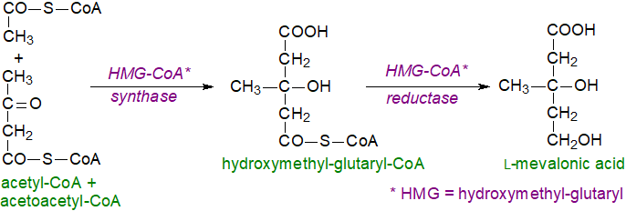 Structural formula for cholesterol