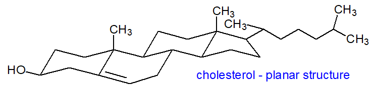 Planar structure of cholesterol