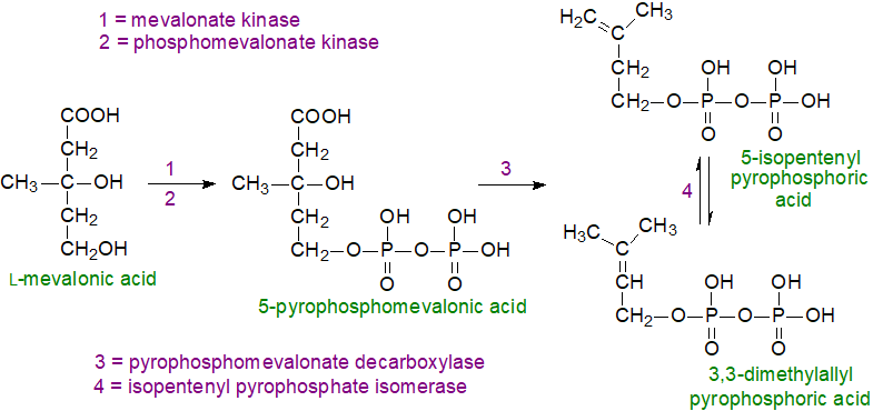 Planar structure of cholesterol