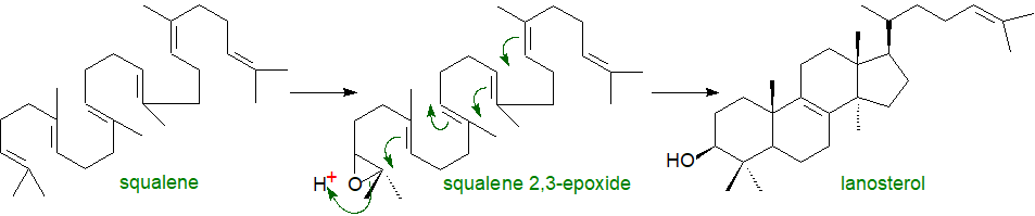 Cholesterol biosynthesis - step two