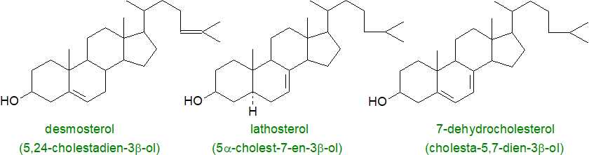 Final steps in cholesterol biosynthesis