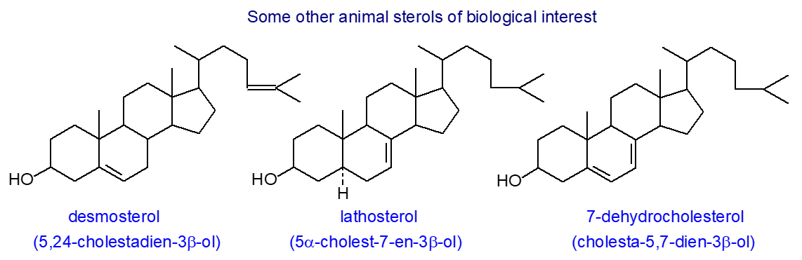 Structural formulae of other animal sterols