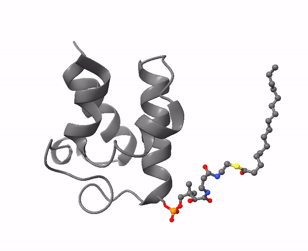 Acyl carrier protein