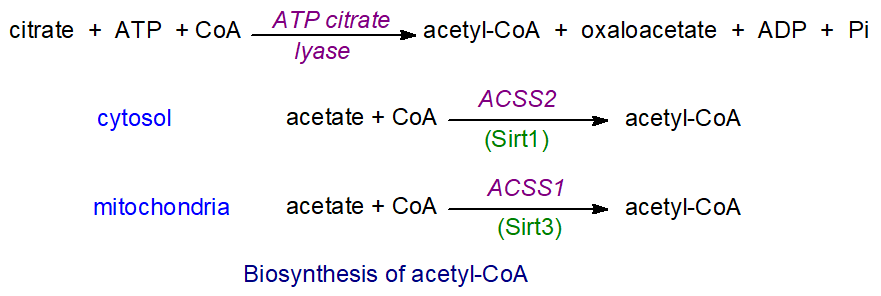 Biosynthesis of acetyl-CoA
