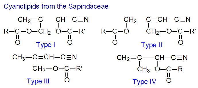 Structural formulae of cyanolipids