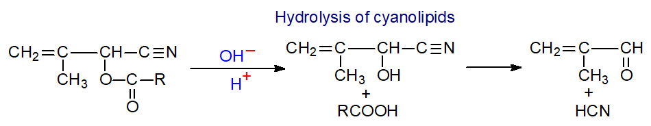 Hydrolysis of cyanolipids