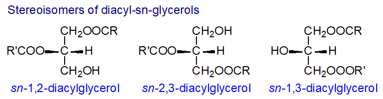 Structural formulae of diacylglycerols