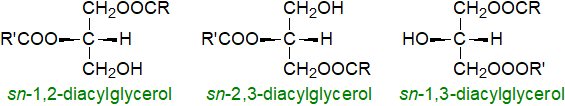 Structural formulae of diacylglycerols