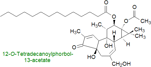 Structure of a phorbol ester