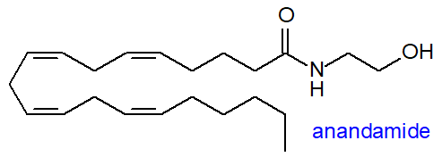 Formula of anandamide