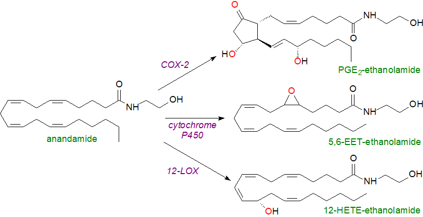 Formula of virodhamine