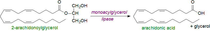 Oxygenated metabolites of anandamide