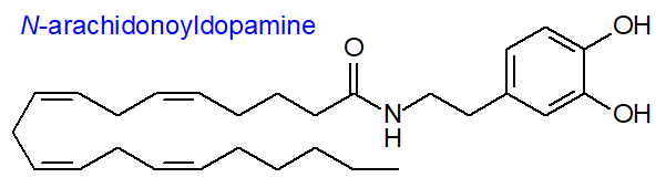 Formula of N-arachidonoyldopamine
