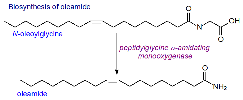 Biosynthesis of oleamide