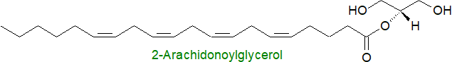 Structure of 2-arachidonoylglycerol