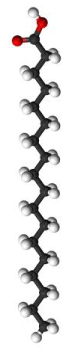 Structural formula of stearic acid