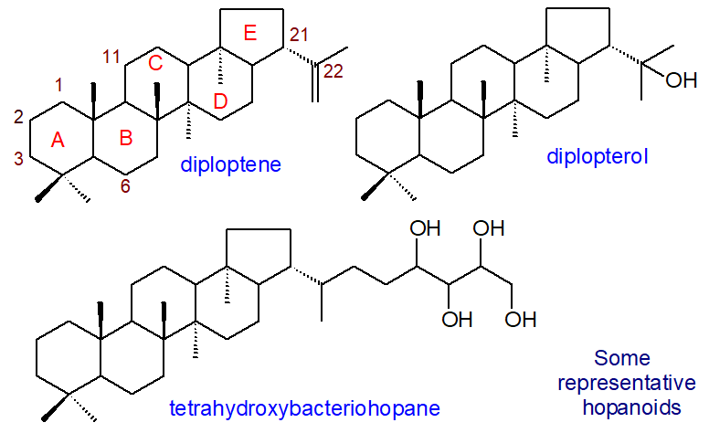 Structures of hopanoids