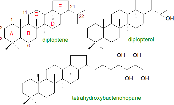 Structures of hopanoids