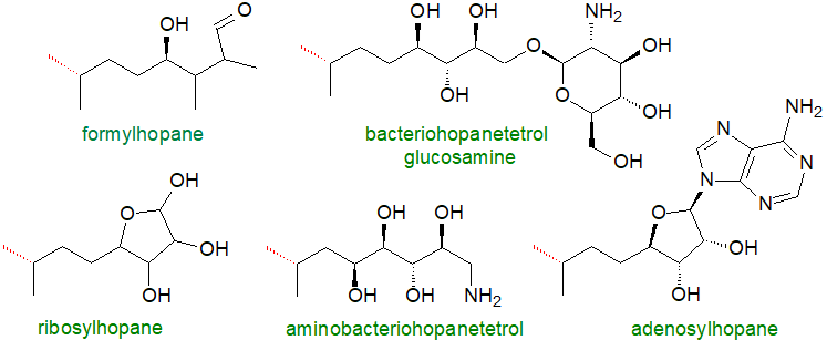 Partial structures of some complex hopanoids