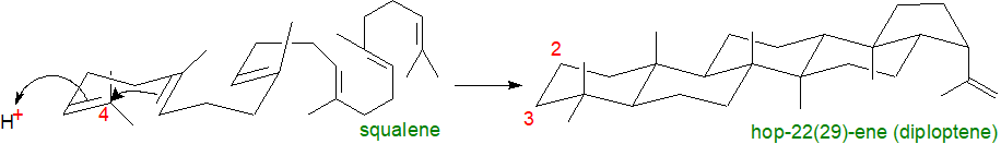 Biosynthesis of hopanoids - cyclization step