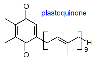 Formula of a plastoquinone