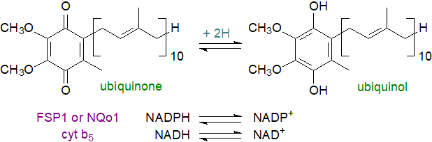 Formula of a plastoquinone