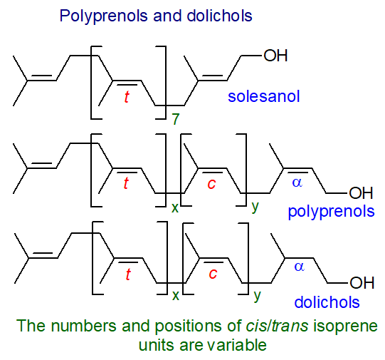 Formulae of polyprenols and dolichols
