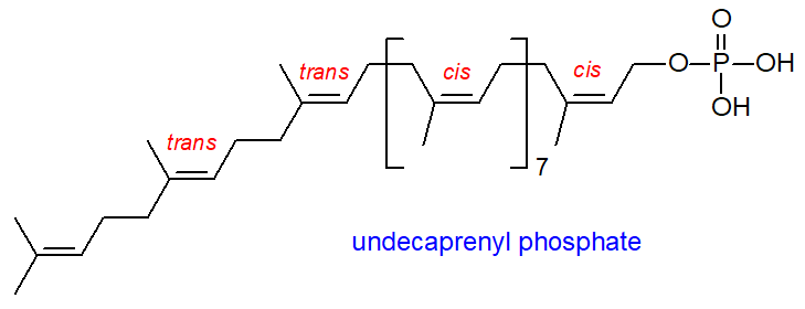 Formula of undecaprenyl phosphate