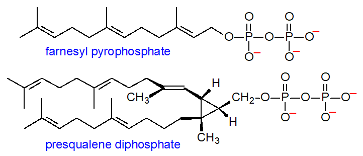 Farnesyl pyrophosphate and presqualene diphosphate