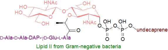 S4: Formula of Lipid II Formula of Lipid II