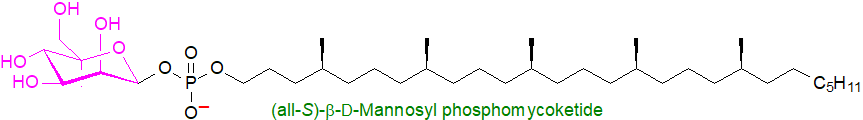 Structure of beta-D-mannosyl phosphomycoketide Structure of beta-D-mannosyl phosphomycoketide