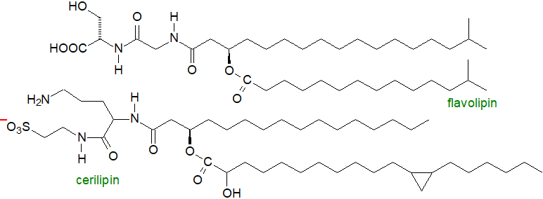 Formulae of flavolipin and cerilipin