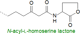 Formula for an N-acyl-L-homoserine lactone