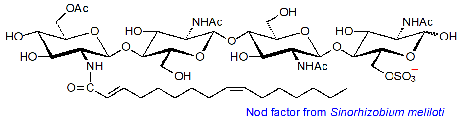 Nodulation factor from Sinorhizobium meliloti