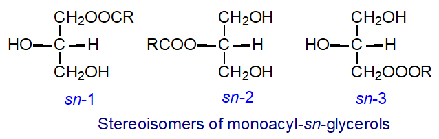 Formulae for monoacylglycerols