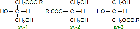 Formulae for monoacylglycerols