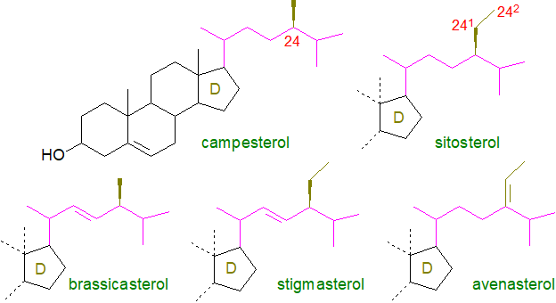 Formula of 5alpha-cholestan-3beta-ol