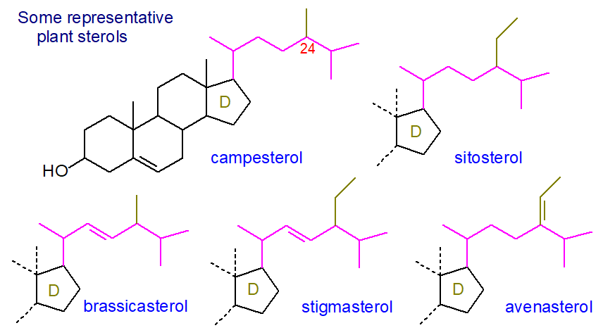 Sterols (plant sterols), sterol esters, sterol glycosides, ergosterol, from  plants, algae and fungi - structure, occurrence, biochemistry and function