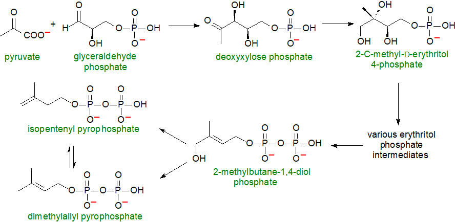 Formulae of plant sterols