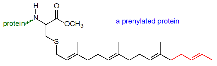 Formula of a prenylated protein
