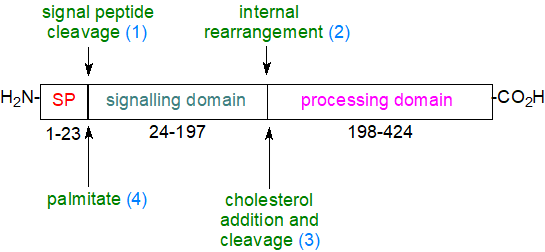 Formula of a prenylated protein