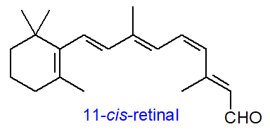 Formula of 11-cis-retinal