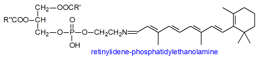Formula of retinylidene-phosphatidylethanolamine