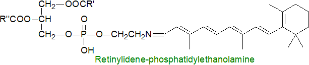 S5: Formula of retinylidene-phosphatidylethanolamine Formula of retinylidene-phosphatidylethanolamine