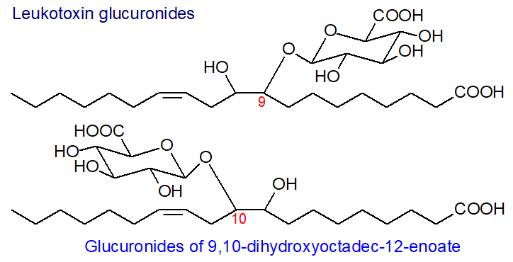 Fatty acid glucuronide