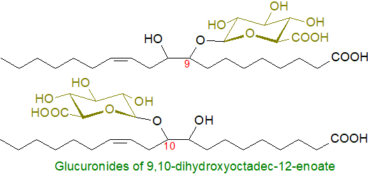 Fatty acid glucuronide