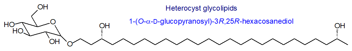 Formula of 1-(O-alpha-D-glucopyranosyl)-3R,25R-hexacosanediol