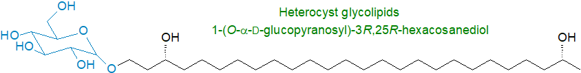 Formula of 1-(O-alpha-D-glucopyranosyl)-3R,25R-hexacosanediol